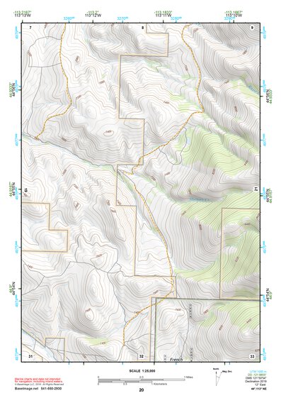 44113NE Page 20 Leadore Topo Preview 1