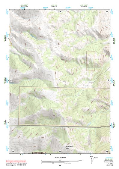44113NE Page 21 Leadore Topo Preview 1
