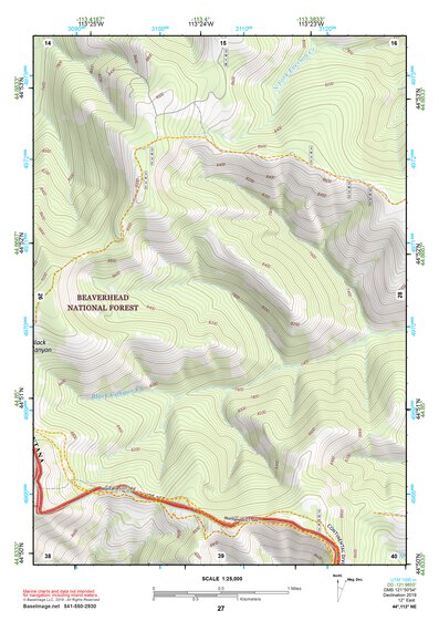 44113NE Page 27 Leadore Topo Preview 1