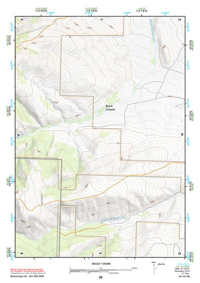 44113NE Page 29 Leadore Topo Preview 1