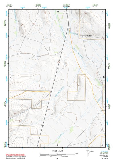 44113NE Page 30 Leadore Topo Preview 1