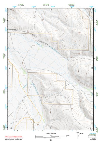 44113NE Page 31 Leadore Topo Preview 1