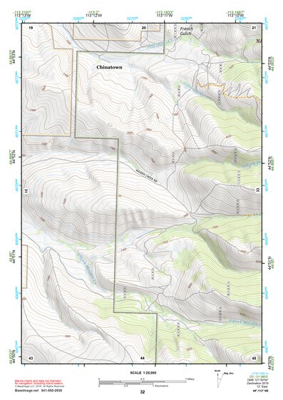 44113NE Page 32 Leadore Topo Preview 1