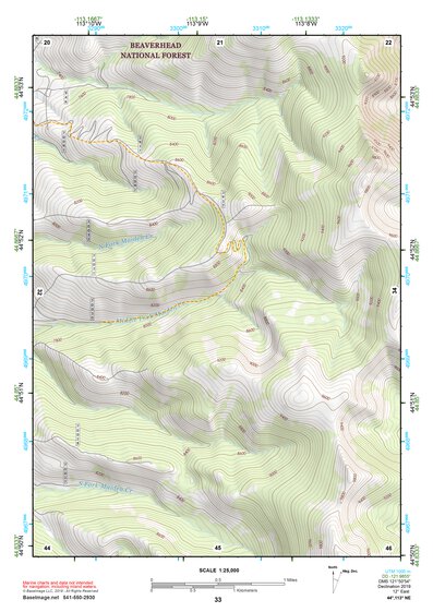 44113NE Page 33 Leadore Topo Preview 1