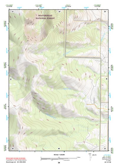 44113NE Page 34 Leadore Topo Preview 1