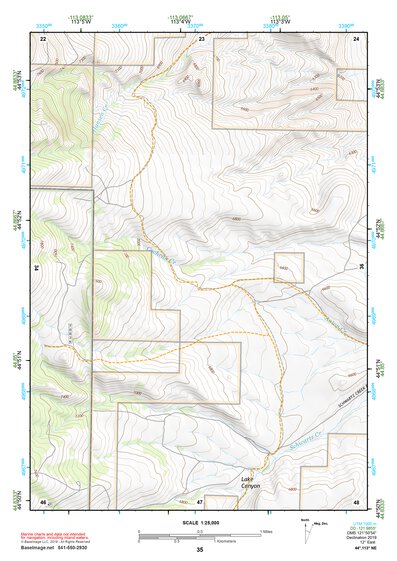 44113NE Page 35 Leadore Topo Preview 1