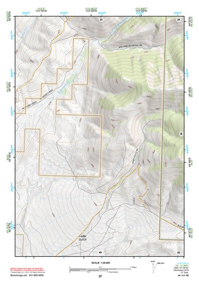 44113NE Page 37 Leadore Topo Preview 1