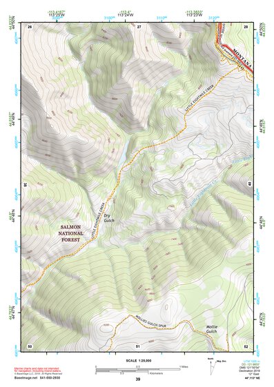 44113NE Page 39 Leadore Topo Preview 1