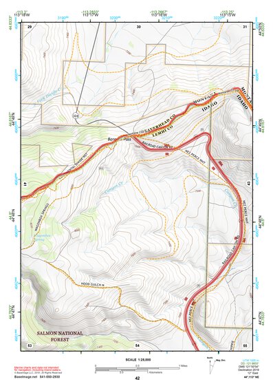 44113NE Page 42 Leadore Topo Preview 1