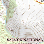 44113NE Page 42 Leadore Topo Preview 3