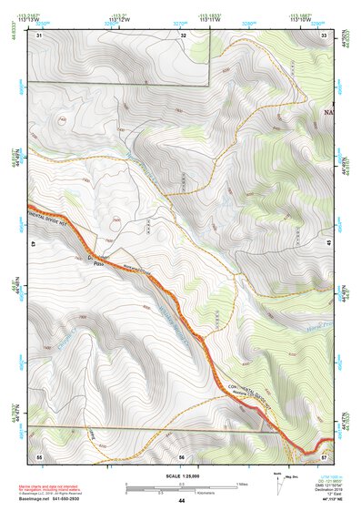 44113NE Page 44 Leadore Topo Preview 1