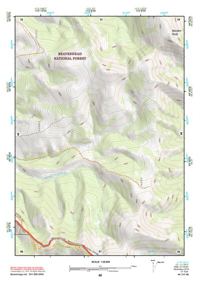 44113NE Page 45 Leadore Topo Preview 1