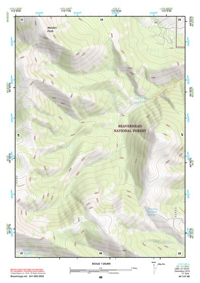 44113NE Page 46 Leadore Topo Preview 1