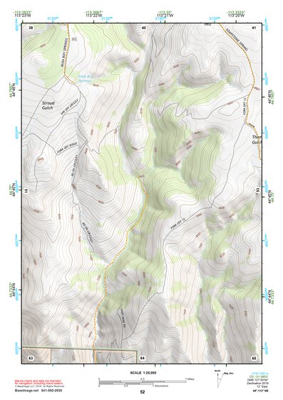 44113NE Page 52 Leadore Topo Preview 1