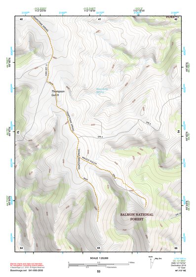 44113NE Page 53 Leadore Topo Preview 1