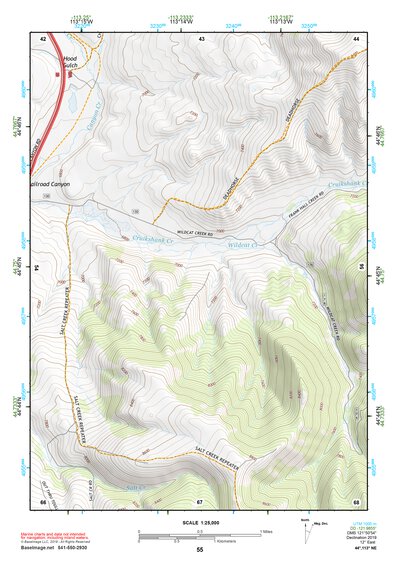 44113NE Page 55 Leadore Topo Preview 1