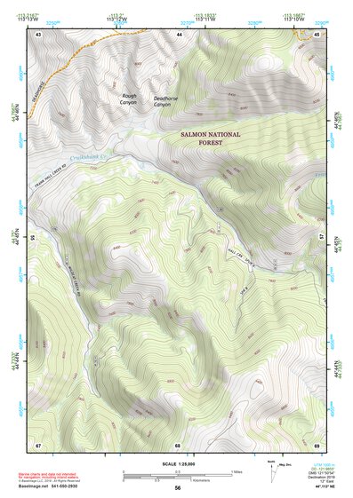 44113NE Page 56 Leadore Topo Preview 1