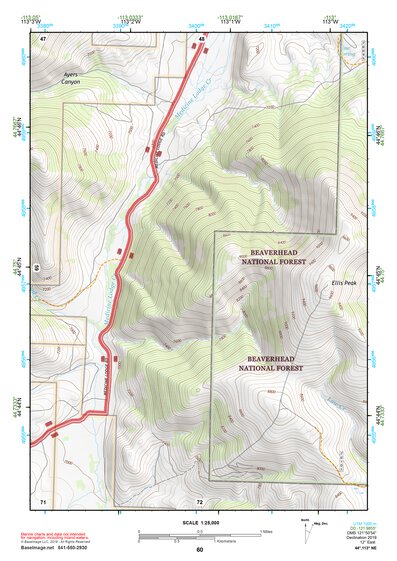 44113NE Page 60 Leadore Topo Preview 1