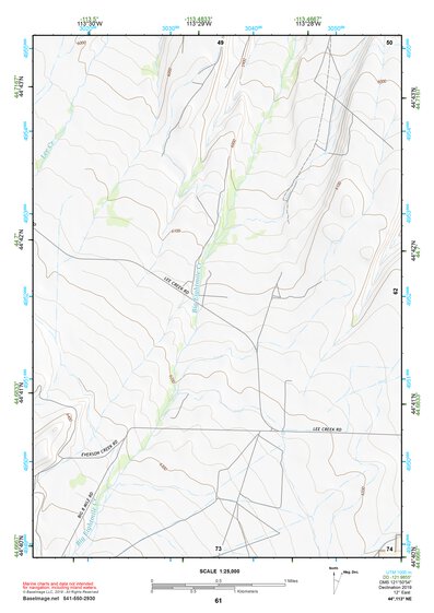 44113NE Page 61 Leadore Topo Preview 1
