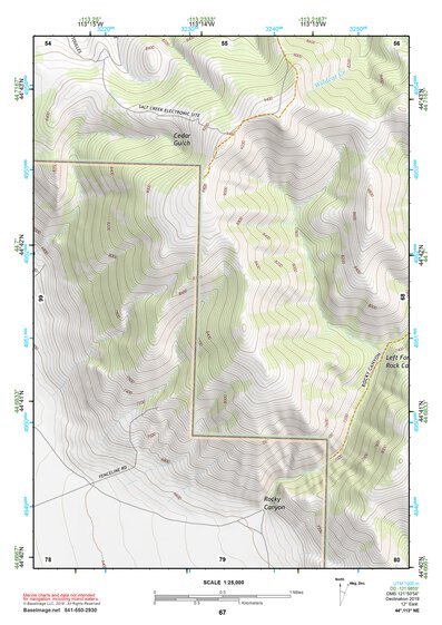 44113NE Page 67 Leadore Topo Preview 1