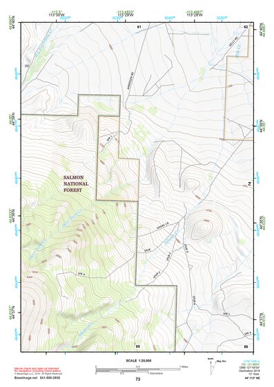 44113NE Page 73 Leadore Topo Preview 1