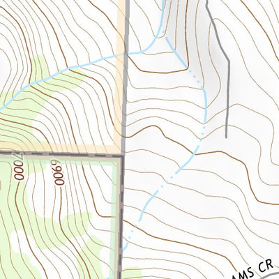 44113NE Page 73 Leadore Topo Preview 2