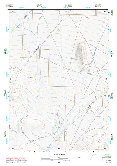 44113NE Page 74 Leadore Topo Preview 1
