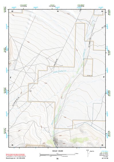 44113NE Page 75 Leadore Topo Preview 1