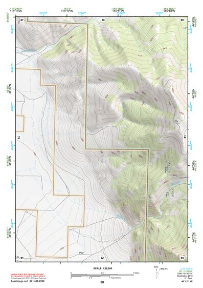 44113NE Page 80 Leadore Topo Preview 1