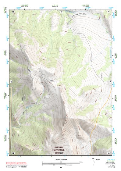 44113NE Page 81 Leadore Topo Preview 1