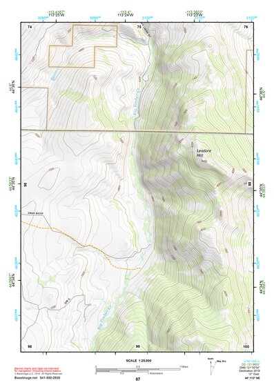 44113NE Page 87 Leadore Topo Preview 1