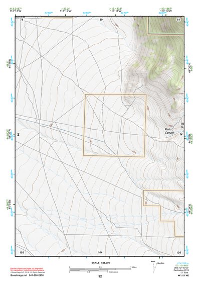 44113NE Page 92 Leadore Topo Preview 1