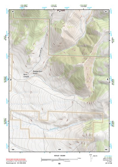44113NE Page 93 Leadore Topo Preview 1