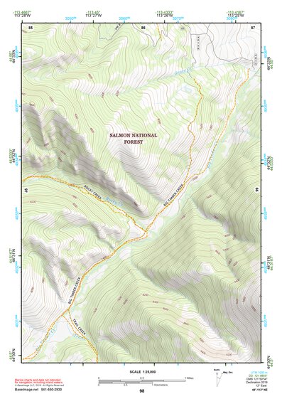 44113NE Page 98 Leadore Topo Preview 1