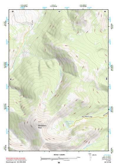 44113NE Page 99 Leadore Topo Preview 1