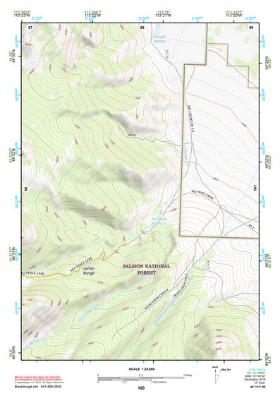 44113NE Page 100 Leadore Topo Preview 1