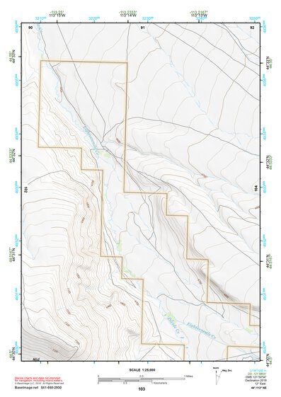 44113NE Page 103 Leadore Topo Preview 1
