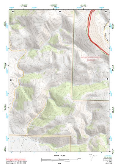 44113NE Page 107 Leadore Topo Preview 1