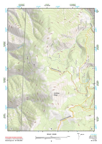 44113NW Page 3 Leadore Topo Preview 1