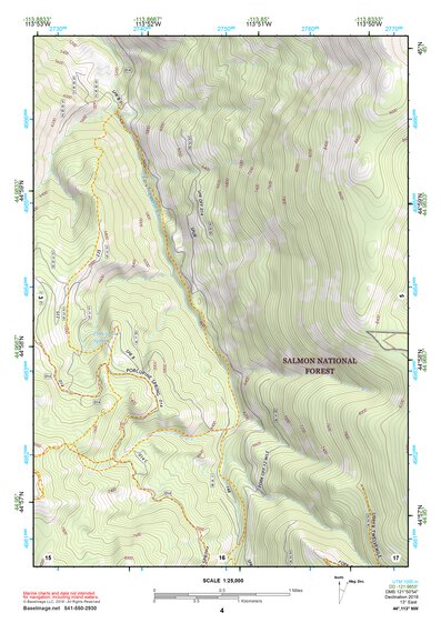 44113NW Page 4 Leadore Topo Preview 1