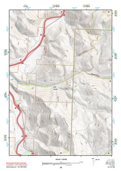 44113NW Page 37 Leadore Topo Preview 1