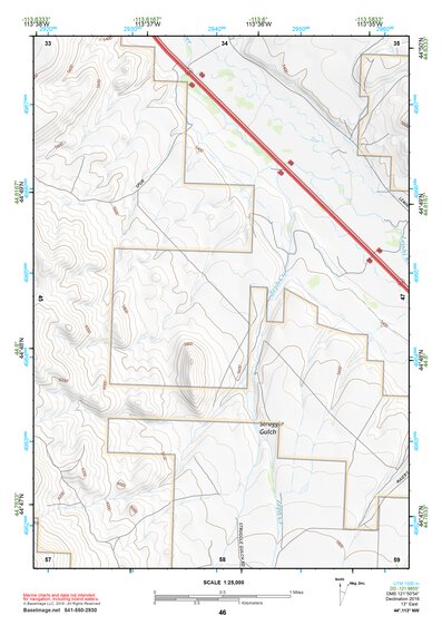 44113NW Page 46 Leadore Topo Preview 1