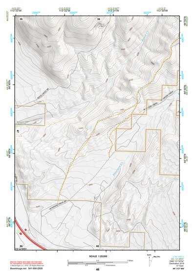 44113NW Page 48 Leadore Topo Preview 1