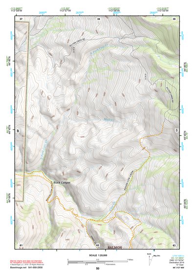 44113NW Page 50 Leadore Topo Preview 1