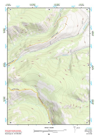 44113NW Page 54 Leadore Topo Preview 1