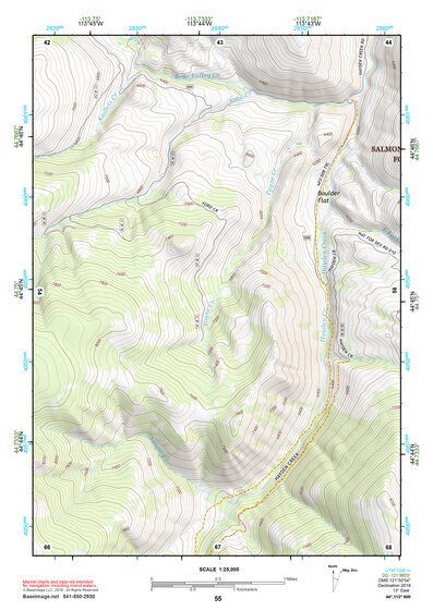 44113NW Page 55 Leadore Topo Preview 1