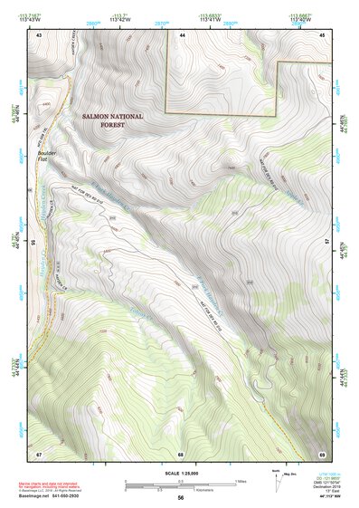 44113NW Page 56 Leadore Topo Preview 1