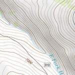 44113NW Page 56 Leadore Topo Preview 2