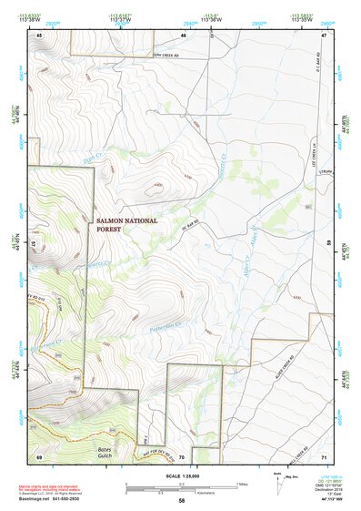 44113NW Page 58 Leadore Topo Preview 1