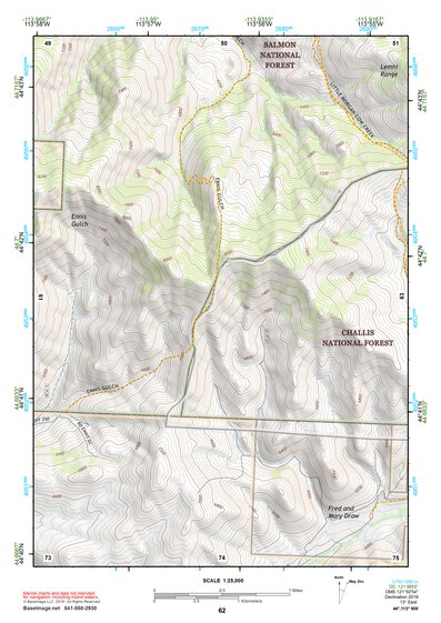 44113NW Page 62 Leadore Topo Preview 1